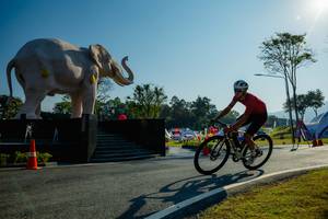 BIB: 
                            <button type="button" onclick="openModal(26182976)" class="btn btn-primary btn-sm float-right btn-popup" data-toggle="modal" data-target=".modal-high-quality">
                        <i class="fas fa-shopping-cart"></i> Add to Cart
                    </button>
                                            <button type="button" onclick="isThisMe(26182976, true)" class="btn btn-success btn-sm float-right btn-popup btn-isme hidden" data-toggle="tooltip" data-placement="bottom" title="นี่คือรูปของคุณใช่ไหม คลิกที่นี่เพื่อเอาเข้าอัลบั้ม">
                        <i class="fas fa-plus"></i> Add to album
                    </button>
                    <button type="button" onclick="isThisMe(26182976, false)" class="btn btn-warning btn-sm float-right btn-popup btn-isnotme hidden">
                        <i class="fas fa-ban"></i> Remove from album
                    </button>